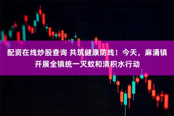 配资在线炒股查询 共筑健康防线！今天，麻涌镇开展全镇统一灭蚊和清积水行动